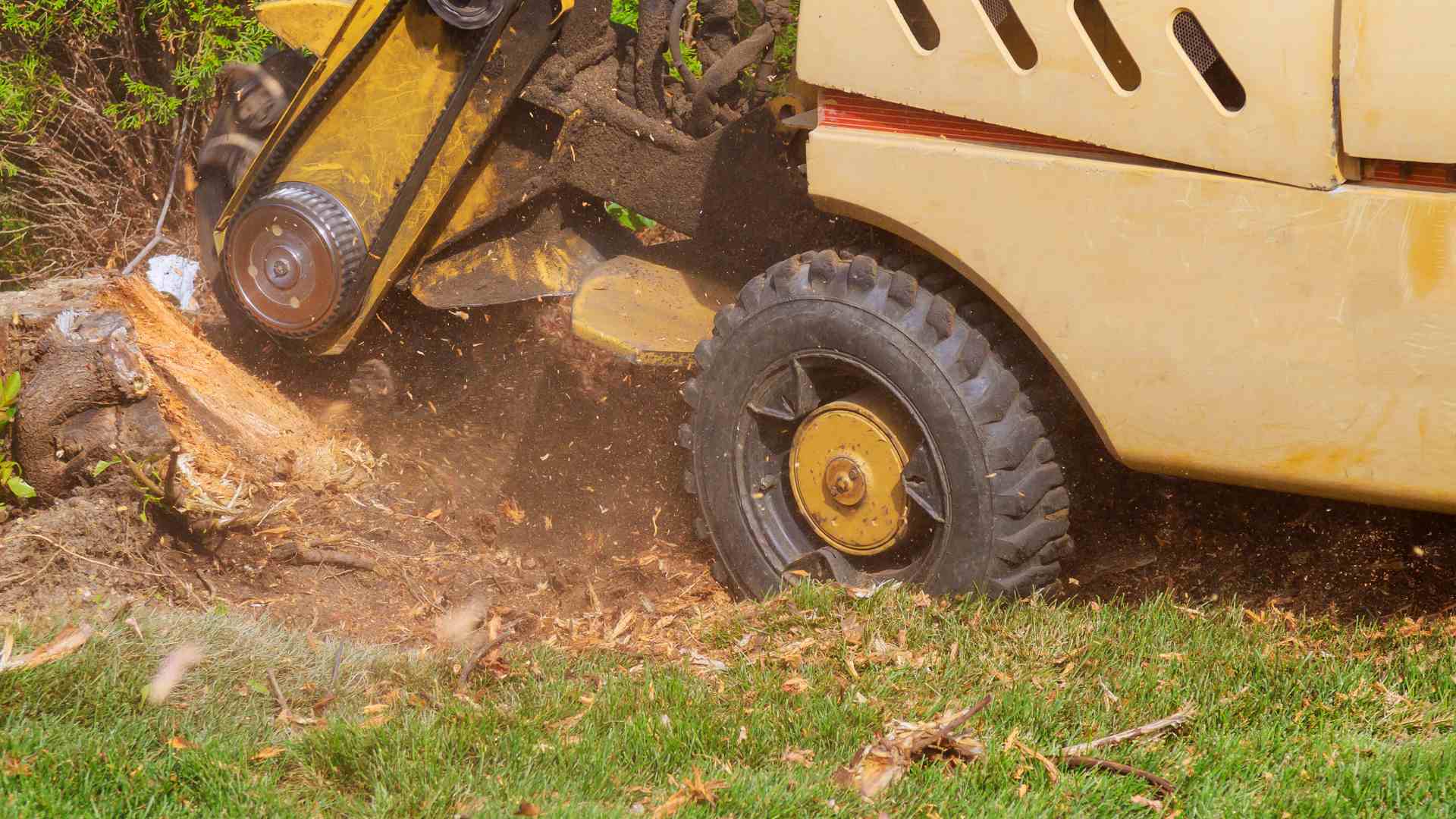 Stump-Grinding